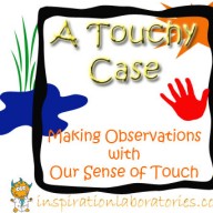 A Touchy Case: Making Observations with Our Sense of Touch
