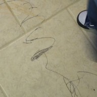 Coloring on the Floor
