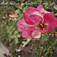 God Has A Purpose For My Life