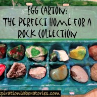 Egg Carton Creative Challenge