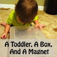 A Toddler, A Box, and A Magnet