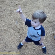 A Nature Scavenger Hunt