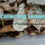 Collecting Leaves
