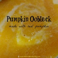 Pumpkin Oobleck Made with Real Pumpkin