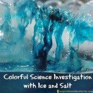 Colorful Science Investigation: Salt + Ice Hearts