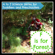 F is for Forest