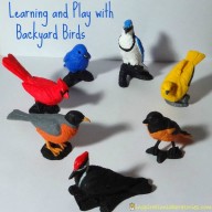 Learning with Safari Ltd Backyard Birds and a Giveaway