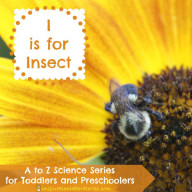 I is for Insect Investigations