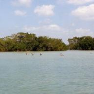 Thoughts for the Day:  Protecting Our Environment