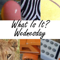 What Is It? Wednesday