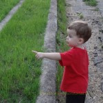 pointing at cattails