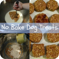 Friendship Treats for Furry Friends | Inspiration Laboratories