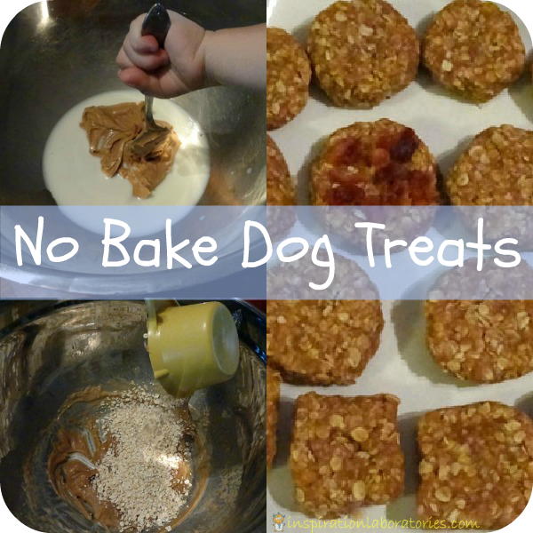 No bake dog treats - an act of friendship for furry friends #readforgood