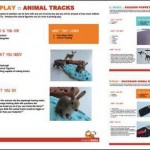 animal curriculum preview