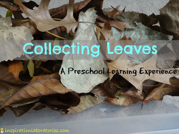 Collecting Leaves: a Preschool Learning Experience
