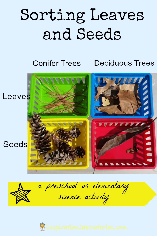 Sorting Leaves and Seeds