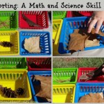 Sorting: A Math and Science Skill
