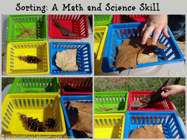 Sorting: A Math and Science Skill