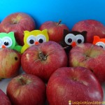 owls in apples