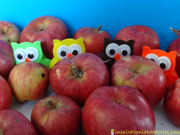 owls in apples