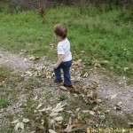 dancing in leaves