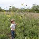 in the flowers