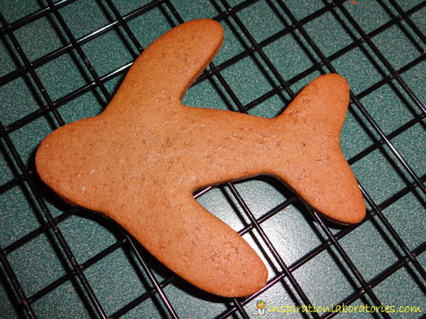 airplane cookie