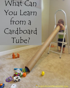 What Can You Learn from a Cardboard Tube?