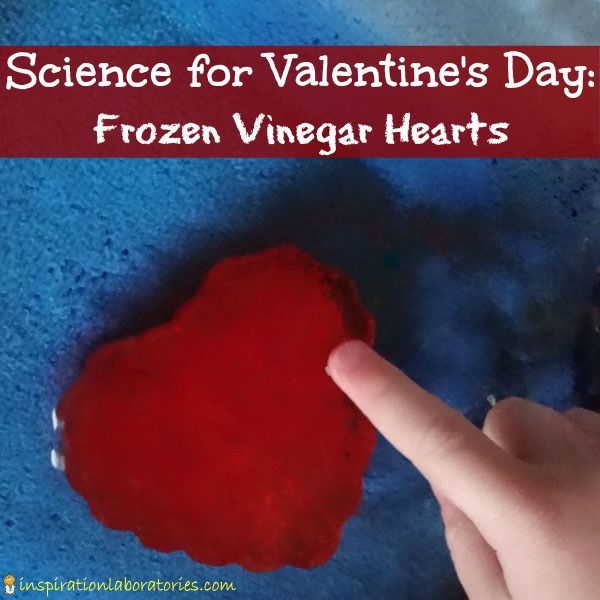 Science for Valentine's Day - Frozen Vinegar Hearts