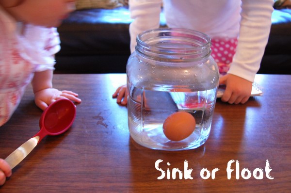 Floating Egg Experiment