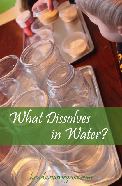 What Dissolves in Water?