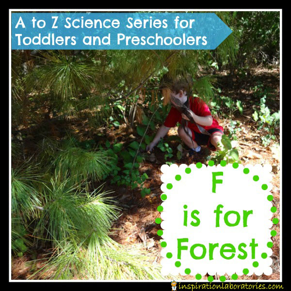 F is for Forest Lessons