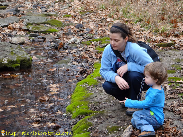 Forest Lessons: observing the creek