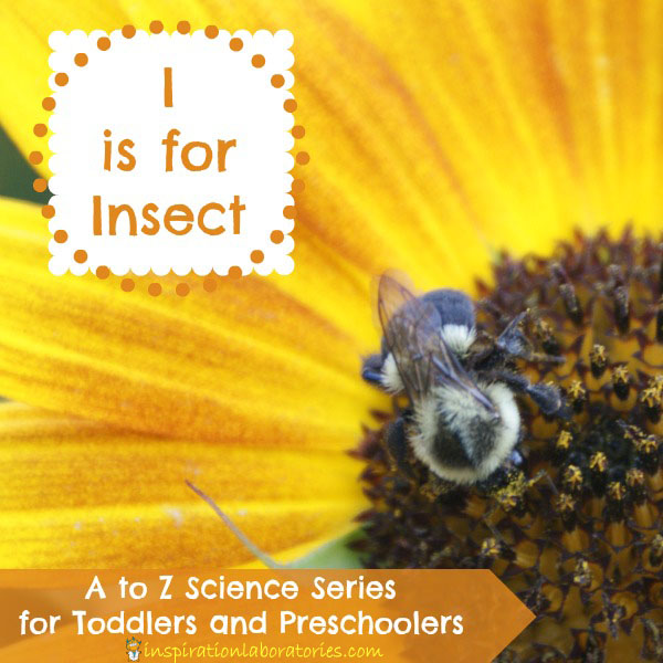 I is for Insect Investigations - part of the A to Z Science Series for Toddlers and Preschoolers at Inspiration Laboratories