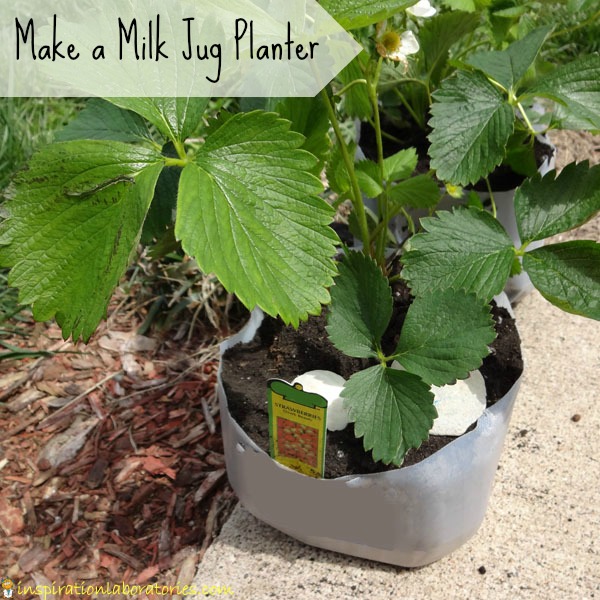 Make a Milk Jug Planter