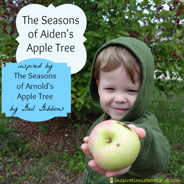 The Seasons of Arnold's Apple Tree by Gail Gibbons