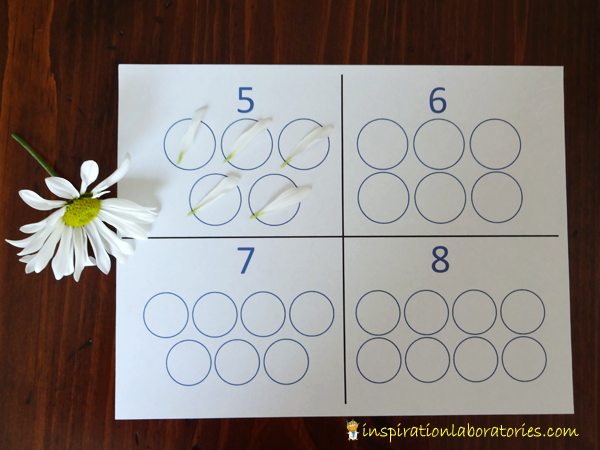 Counting Flowers with Number Circles