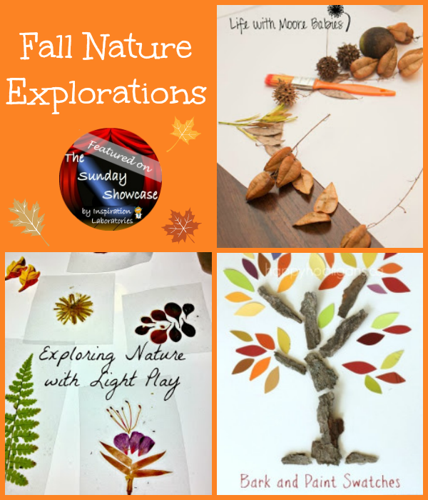 Fall Nature Explorations Featured on The Sunday Showcase at Inspiration Laboratories