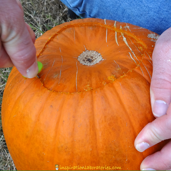 Pumpkin Carving with Kids with #PumpkinMastersKit
