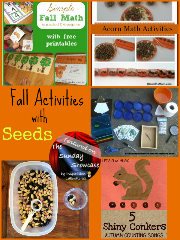Fall Activities with Seeds Featured on the Sunday Showcase at Inspiration Laboratories