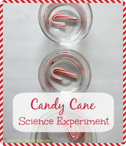 Candy Cane Science Experiment