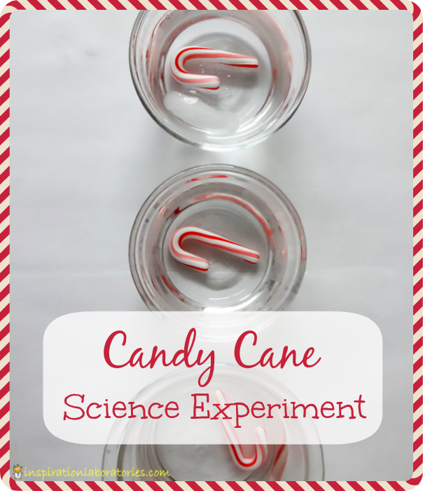 Candy Cane Science Experiment - Day 11 of our Christmas Science Advent Calendar