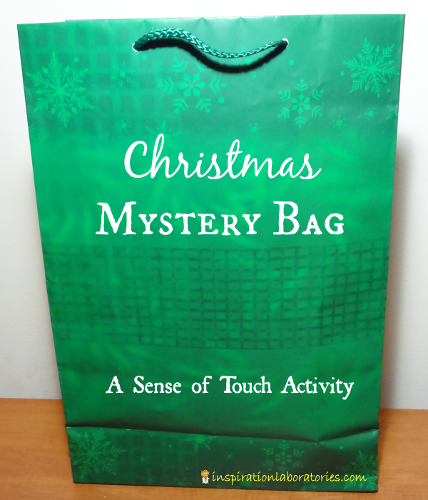 Christmas Mystery Bag - Day 19 of our Christmas Science Advent Calendar - Practice making observations with your sense of touch.
