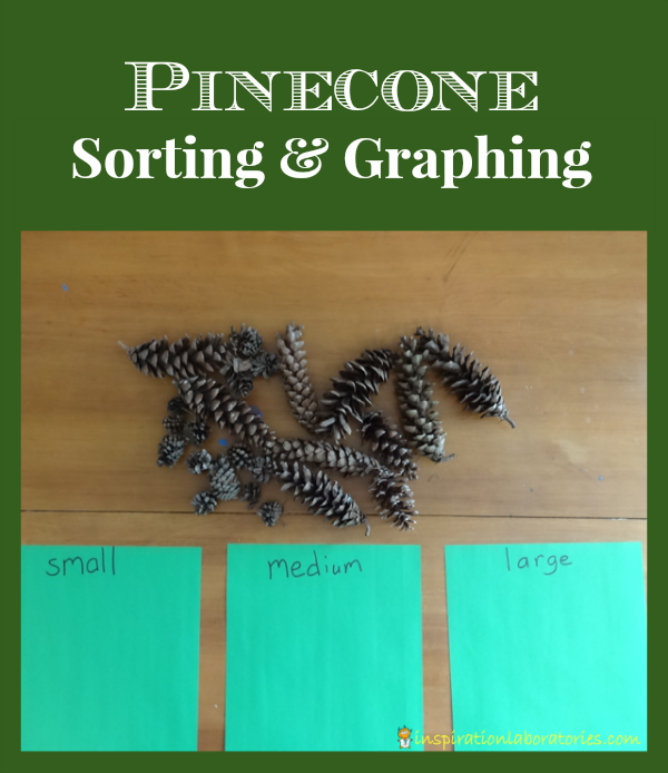 Pinecone Sorting & Graphing - Day 13 of our Christmas Science Advent Calendar