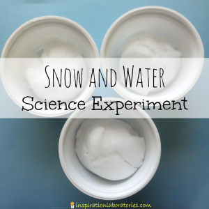 Snow and Water Experiment - This simple and easy to set up experiment practices many different science skills.
