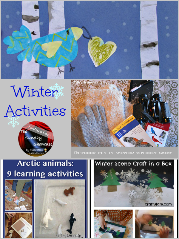 Winter Activities Featured on the Sunday Showcase at Inspiration Laboratories