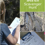 All About Birds Scavenger Hunt from Terri at Creative Family Fun