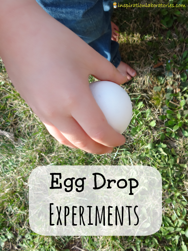 egg drop project ideas without parachutes