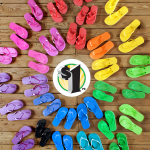 Dollar Tree Flip Flop Frenzy