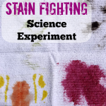 Stain Fighting Science Experiment sponsored by Biz